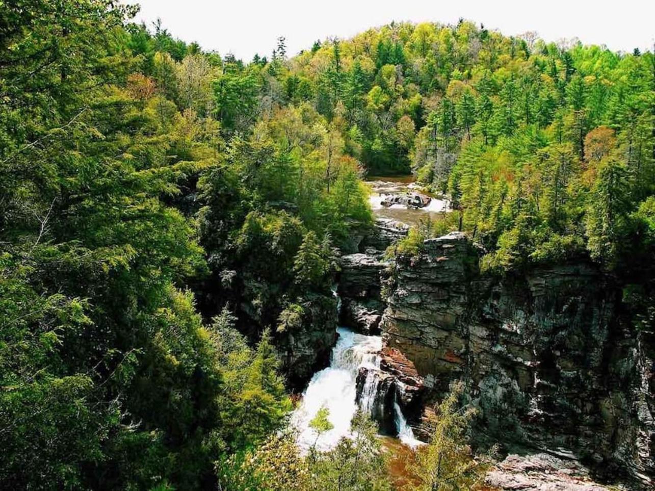 Gingercake Mtn Cottage At Linville Gorge - Wood Burning Fireplace Linville Falls Экстерьер фото