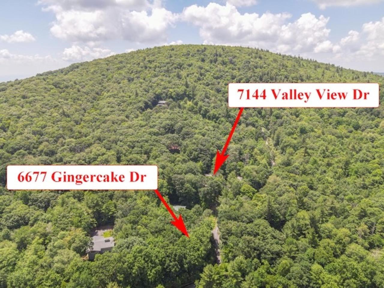 Gingercake Mtn Cottage At Linville Gorge - Wood Burning Fireplace Linville Falls Экстерьер фото